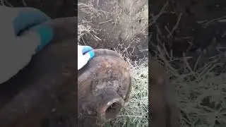 #железо #ссср #ферма