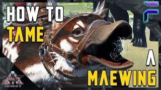 HOW TO TAME A MAEWING EASY! -Ark: Genesis Part 2