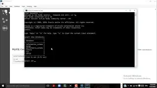 How to install MySQL on windows 10 [2020]