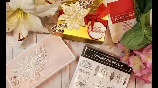 Poinsettia Petals Bundle HC