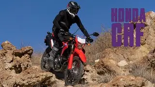 2021 Honda CRF300L / CRF300L Rally