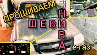 Прошивка свежей Шевролет Нива с электронной педалью при снятии катализатора. Chevrolet Niva евро-2.