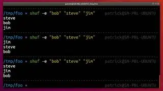 How to create a simple random name selector in the Linux terminal
