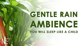 Summer Rain Sounds Ambience, 2 Hours for Sleeping, Reading, Relaxation, White Noise