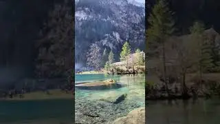 Beautiful nature short video | Nature Shorts