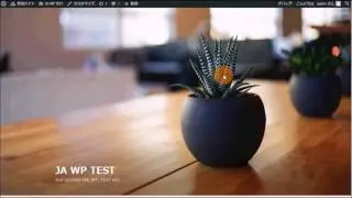 WordPressのプラグイン（Advanced Custom Fields）２：GoogleMapの挿入