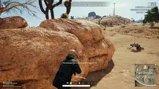 Good Ping.