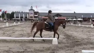 2015 Open de France Clubs - RLM - Dressage Club 1 Junior (Championnat de France)