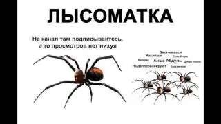 ИПОТЕКА АБДУЛЬ 3Д8К КИРИЧ ПОРЫЧ КУКЕРМАН БИБОРАН ПИНГВИНЫ ТОП ТОП ТОП