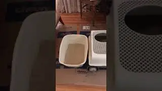 Peeing Outside The Litterbox Tips