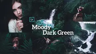 Moody Green / Moody Green Lightroom Mobile / Lightroom Mobile Presets Green