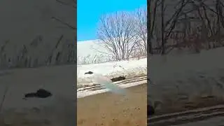 Общий подход🛤 #shortvideo #дорога