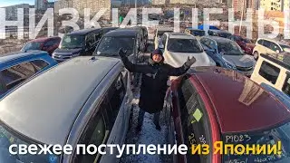 ЦЕНЫ НАКОНЕЦ-ТО УПАЛИ😱НОВЫЙ ПРИХОД БЮДЖЕТНЫХ АВТО ИЗ ЯПОНИИ🔥ЦЕНЫ ОТ 700 ТЫСЯЧ❗️PROBOX ISIS SOLIO
