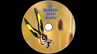 Cante Limpio Jilguero / 2016