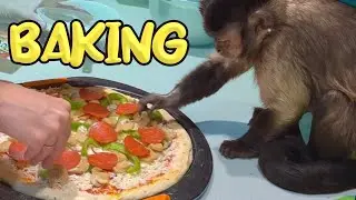 The Perfect Pizza (Pt2)