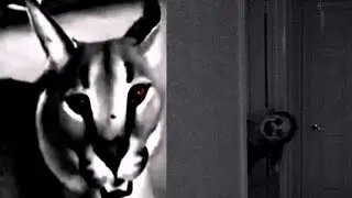 Floppa Becoming Uncanny Nyctophobia