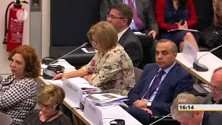 Bahar Muradova - Meeting of the Standing Committee 2 / Berlin Annual Session 2018