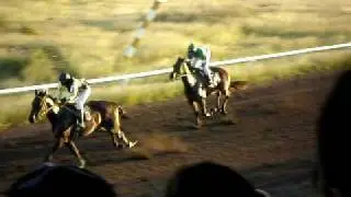 horse racing in nevis 1
