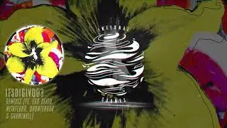 Infernal Sounds presents: IFSDIGIV003 (THE REMIXES)