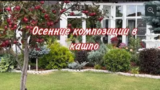 Осенние композиции в кашпо