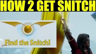 how to catch the snitch in harry potter quidditch championships (tips & tricks)