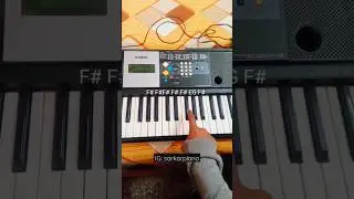 Yally - Party Party Piano Tutorial