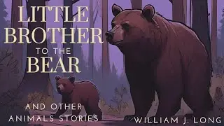 A Little Brother to the Bear and Other Animal Stories | Dark Screen Audiobooks for Sleep