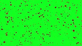 Rose Petals Falling Green Screen Effects Animation | Rose Flowers Petals Chroma Key