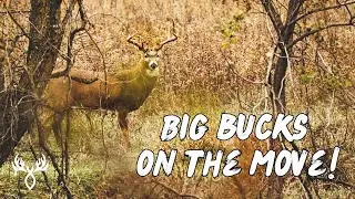 Hunting the RUT with a Bow + Big Oklahoma Muzzleloader Kill | Ep. 6