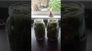 Рецепт "Маринованные огурцы "