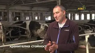 Животновъден дневник: Елитна генетика юници Холщайн в Асеновград, автор: Мирела Спасова