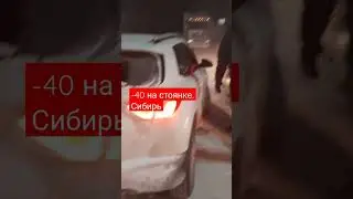29 января 2023 г.