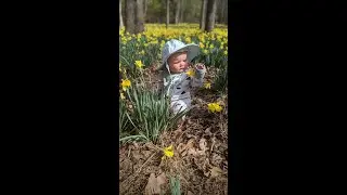 Difficult Daffodil Flats Trail Peak Bloom with a Baby Linville Gorge Wilderness Hiking February 2023