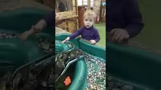 Трогательный зоопарк Ростов-на-Дону