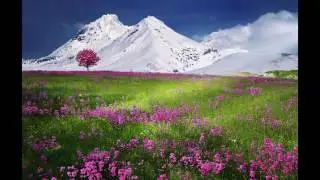 FREE VLOG MUSIC NO COPYRIGHT 1