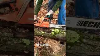 Darin shows how he measures & cuts 16” long firewood rounds 