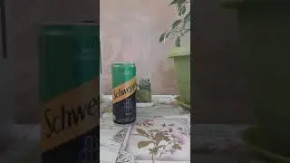 Обзор на напиток'Schweppes' вкус Мохито