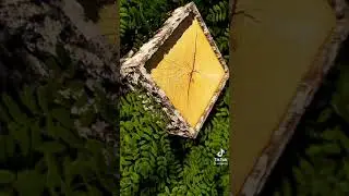 Minecraft RTX On ll tik-tok #3