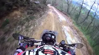 Fotorally 29 7