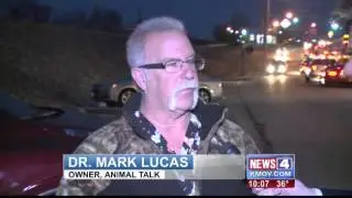 Animal advocates demand changes for Wentzville animal shelter
