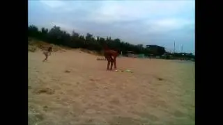 Бердянск 2013