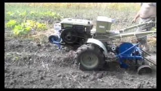 уборка картофеля 2015