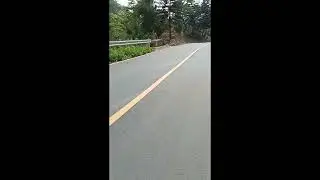 short ride soloride