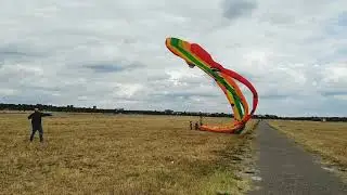 Воздушный змей(воздушный осьминог).