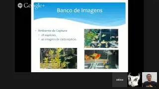Apresentação da Defesa da Dissertação - Identificação de Espécies de Peixes Utilizando Histog