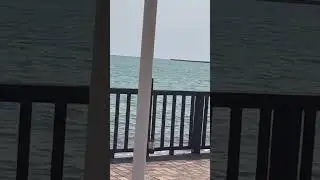 Украшение черноморского побережья гостеприимная «Рибера»🪸🐬