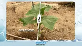 Oxigenación con Bihox
