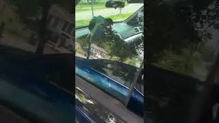 #shorts #shortsvideo