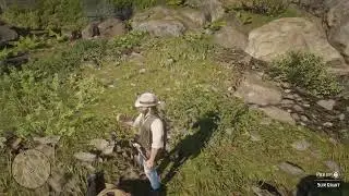 Rdr2 gun hunting