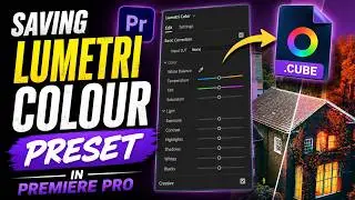 Saving Lumetri COLOUR PRESET In Premiere Pro
